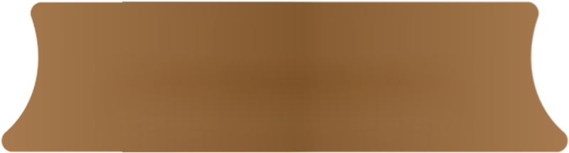 Thiết kế website Việt Nhân